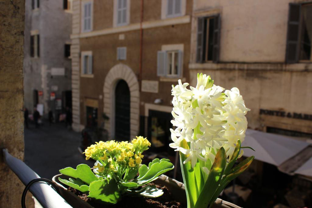 Hub Navona — Photos 3